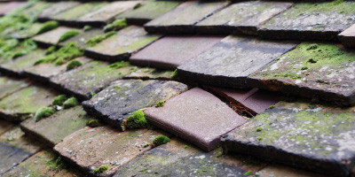Hatfield Peverel roof repair costs